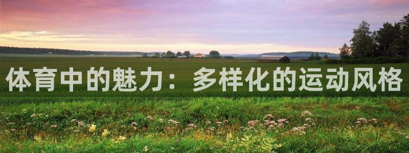 betway西汉姆联官网：体育中的魅力：多样化的运动风格