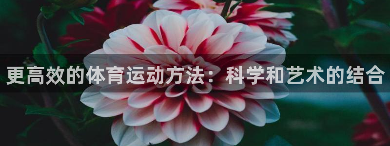 betway西汉姆：更高效的体育运动方法：科学和艺术的结合