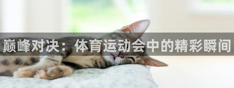 betway西汉姆官网：巅峰对决：体育运动会中的精彩瞬间