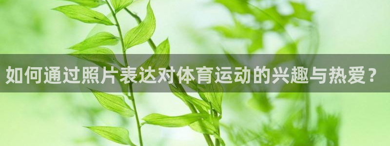 必威betway西汉姆联：如何通过照片表达对体育运动的兴趣与热爱？