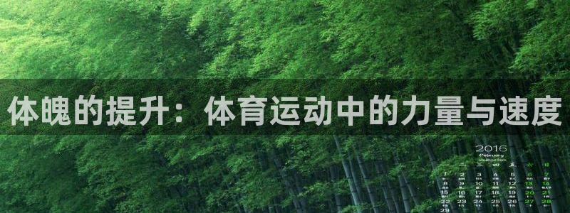 betway西汉姆：体魄的提升：体育运动中的力量与速度