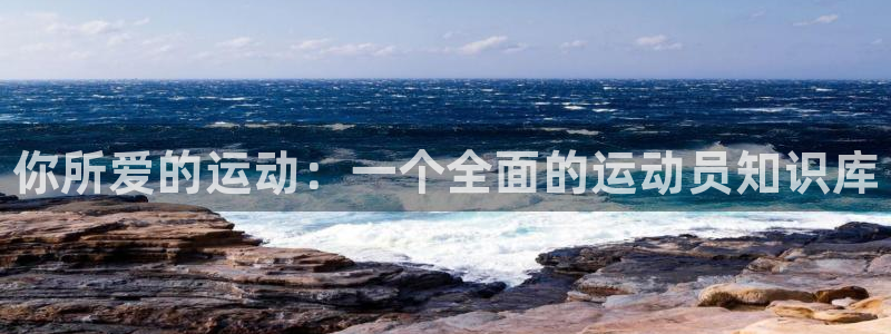 betway西汉姆：你所爱的运动：一个全面的运动员知识库