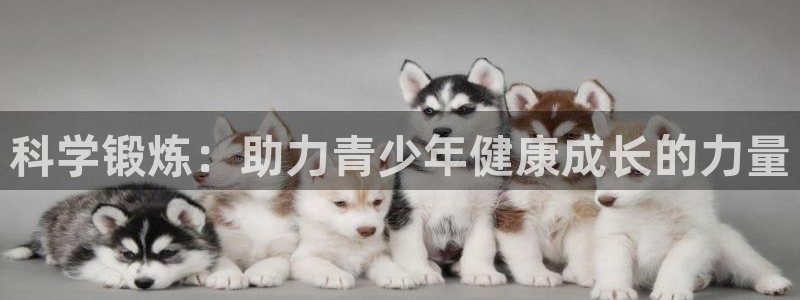 betway西汉姆：科学锻炼：助力青少年健康成长的力量