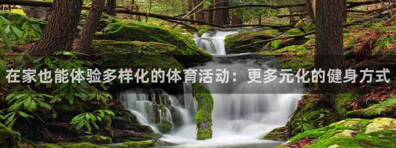 必威betway西汉姆联：在家也能体验多样化的体育活动：更多元化的健身方式