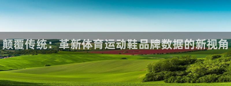 betway西汉姆联官网：颠覆传统：革新体育运动鞋品牌数据的新视角