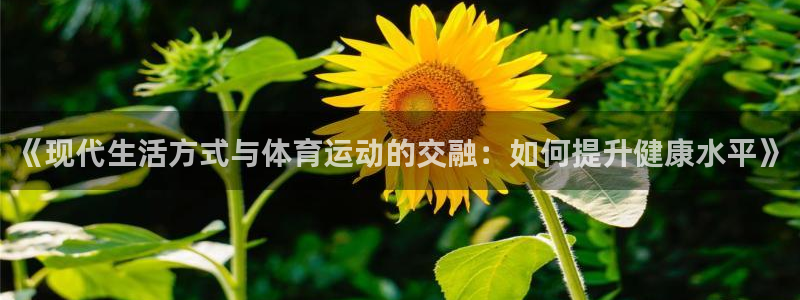 betway西汉姆：《现代生活方式与体育运动的交融：如何提升健康水平》